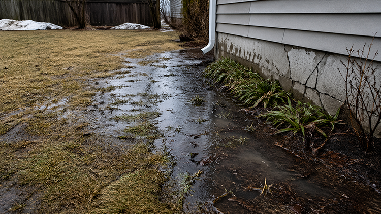 Water pooling along a home's foundation and saturated lawn showing the risks of ignored backyard drainage problems, including potential structural damage and erosion